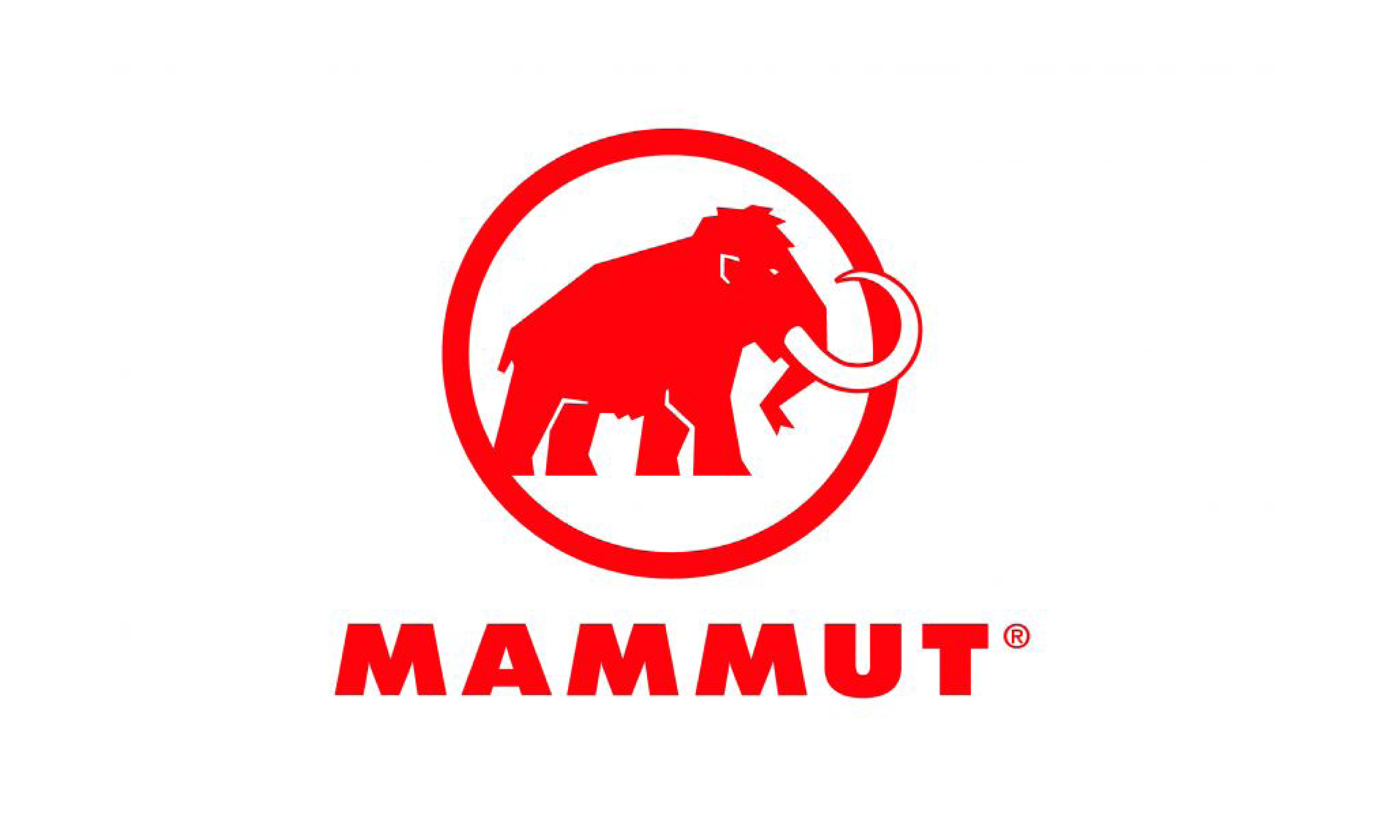 sponsor-mammut-500x300w